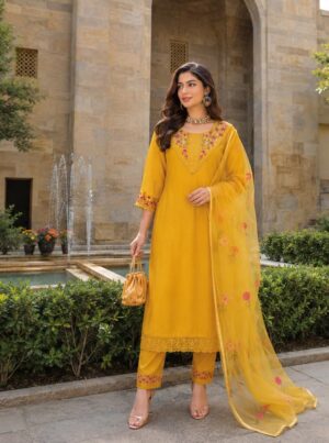 WhatsApp Image 2026-07-18 at 1.03.20 PM Aarohi Party Wear Suit