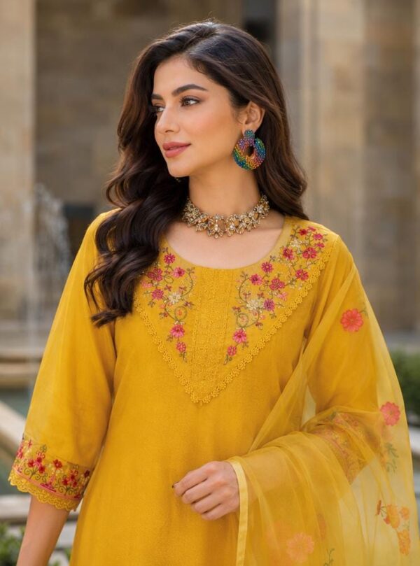 Aarohi Party Wear Suit