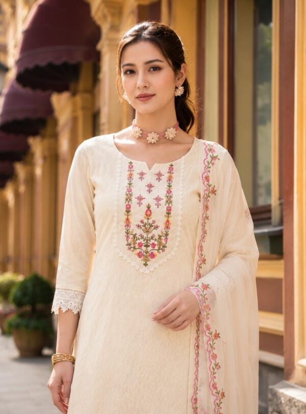 Ahana Party Wear Suit