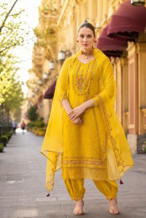 WhatsApp Image 2026-07-18 at 12.54.55 PM Charvi Party Wear Suit