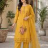 Hema Party Wear Suit