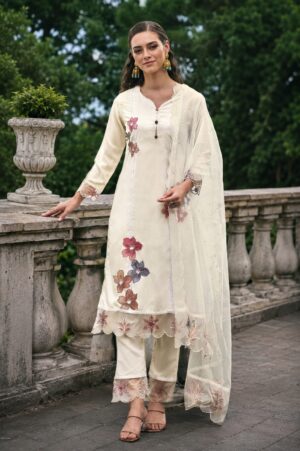 e2a006bc-a741-4308-86c1-8dc933bd64e7 Hema Party Wear Suit